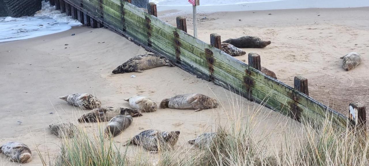 Twin Palms Guesthouse Great Yarmouth Luaran gambar