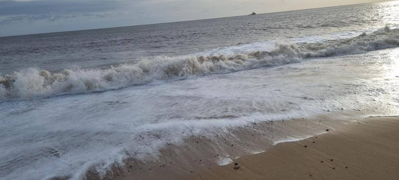 Twin Palms Guesthouse Great Yarmouth Luaran gambar